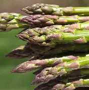 Asparagus - Millennium
