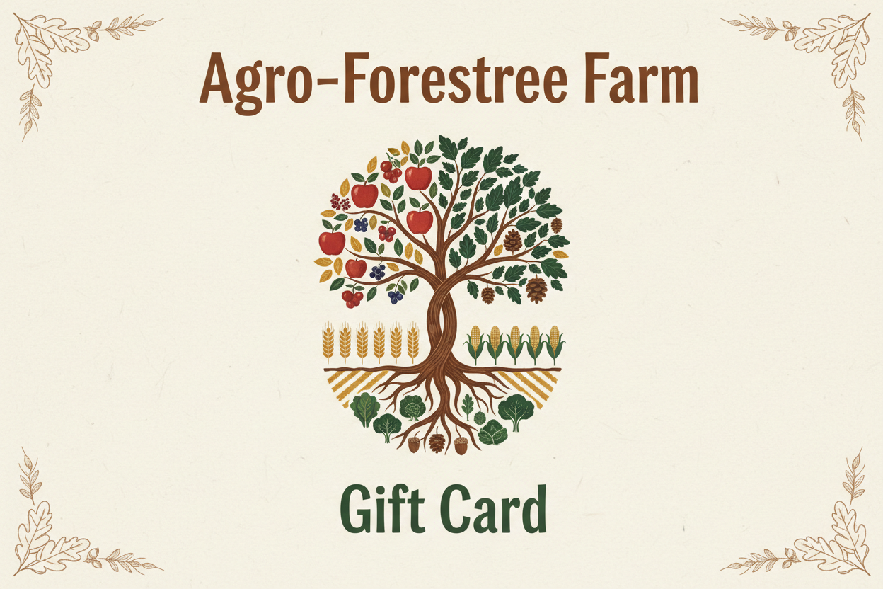 take off value: $ and To:/From, add gift card