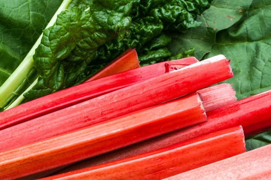 Rhubarb - Canada Red
